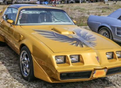Pontiac Firebird, История Ford