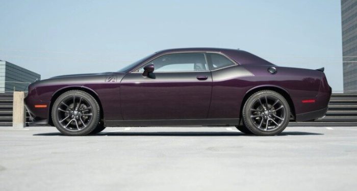 Dodge Challenger 2022 года 4 Dodge Challenger 2022