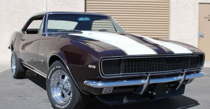 15 фотофактов о Chevrolet Camaro за последние 50 лет 1 Chevrolet Camaro фото